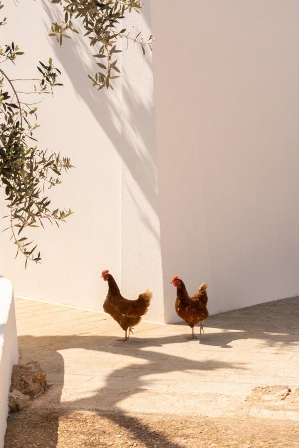 Agriturismo Sikalindi Gagliano del Capo Exterior foto